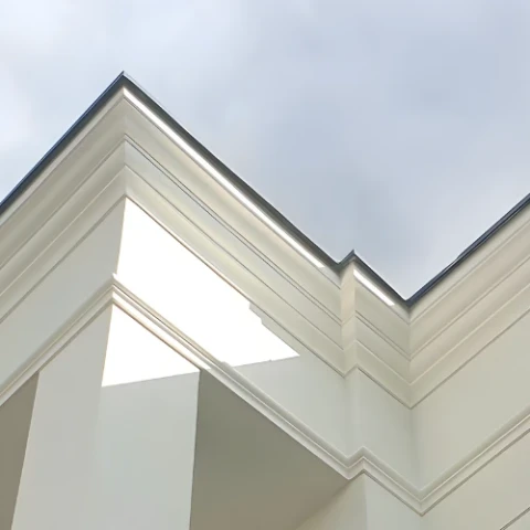 gzyms1.webp